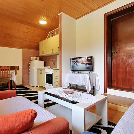 Apartmán Marjanovic Zlatibor