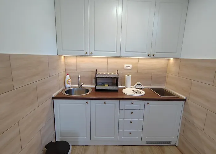 Marjanovic 아파트