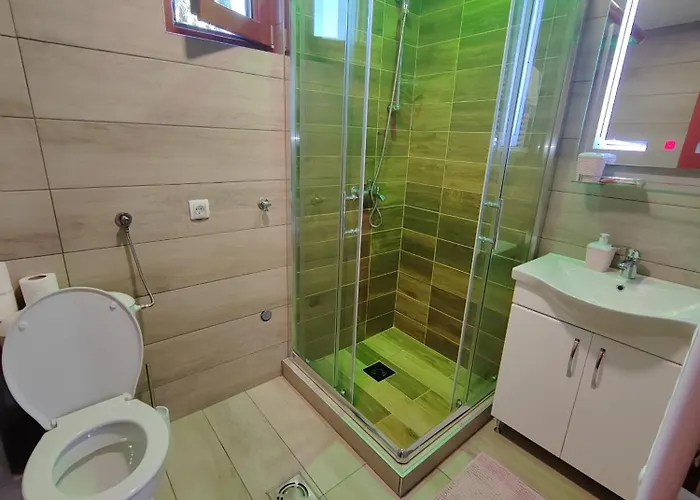 Marjanovic * 兹拉蒂博尔