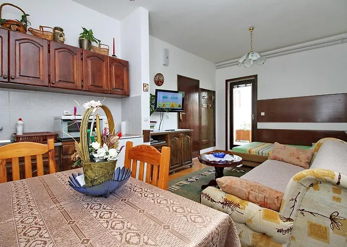 Marjanovic * 兹拉蒂博尔