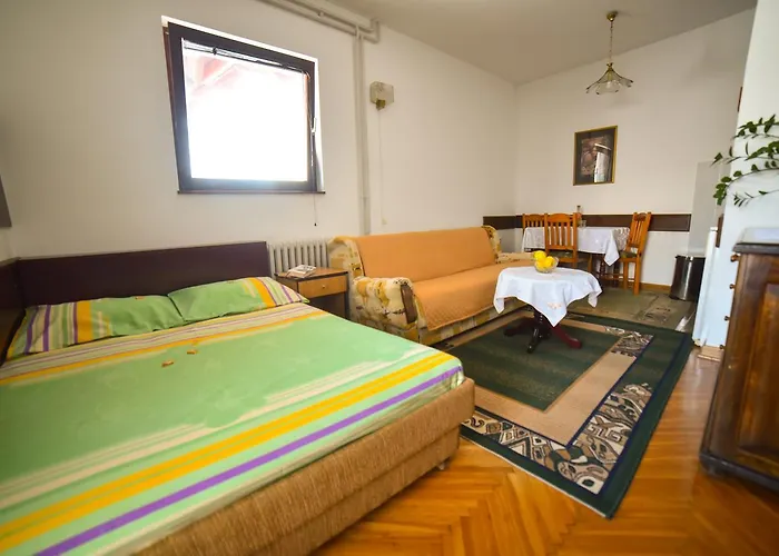 Marjanovic * 즐라티보