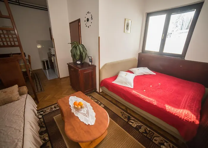 公寓 Marjanovic 兹拉蒂博尔