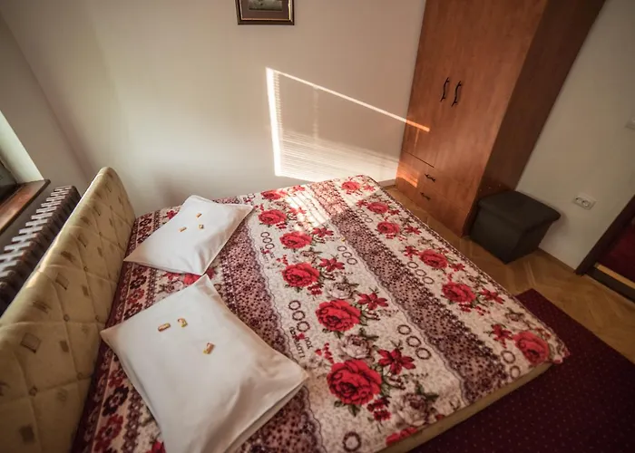 Marjanovic 兹拉蒂博尔