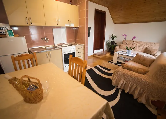 Marjanovic 즐라티보