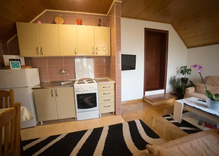 公寓 Marjanovic 兹拉蒂博尔