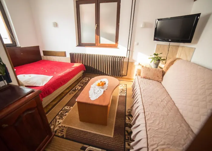 Marjanovic * 兹拉蒂博尔