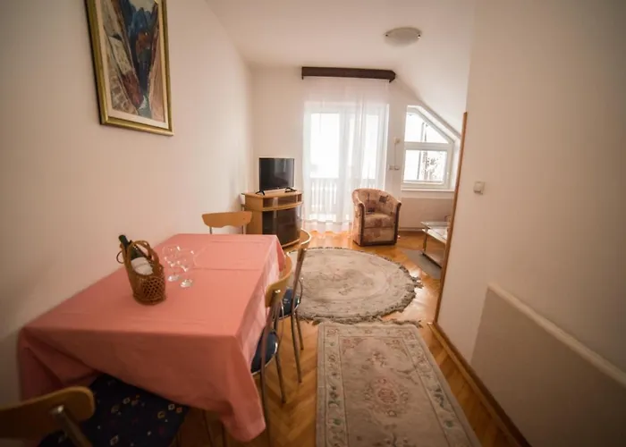 Marjanovic 즐라티보