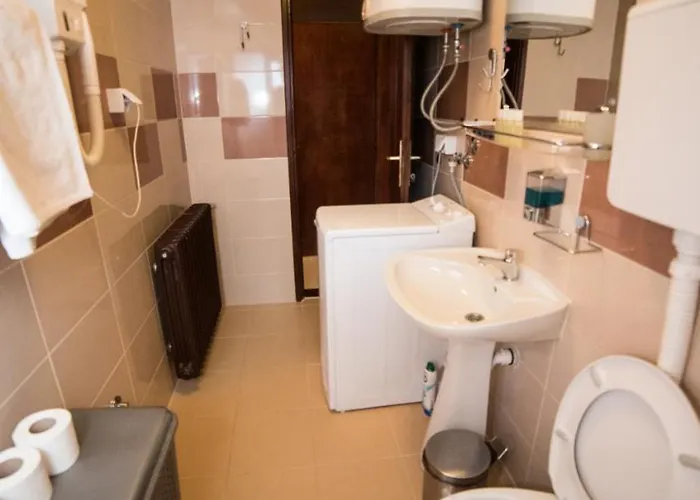 Marjanovic 즐라티보